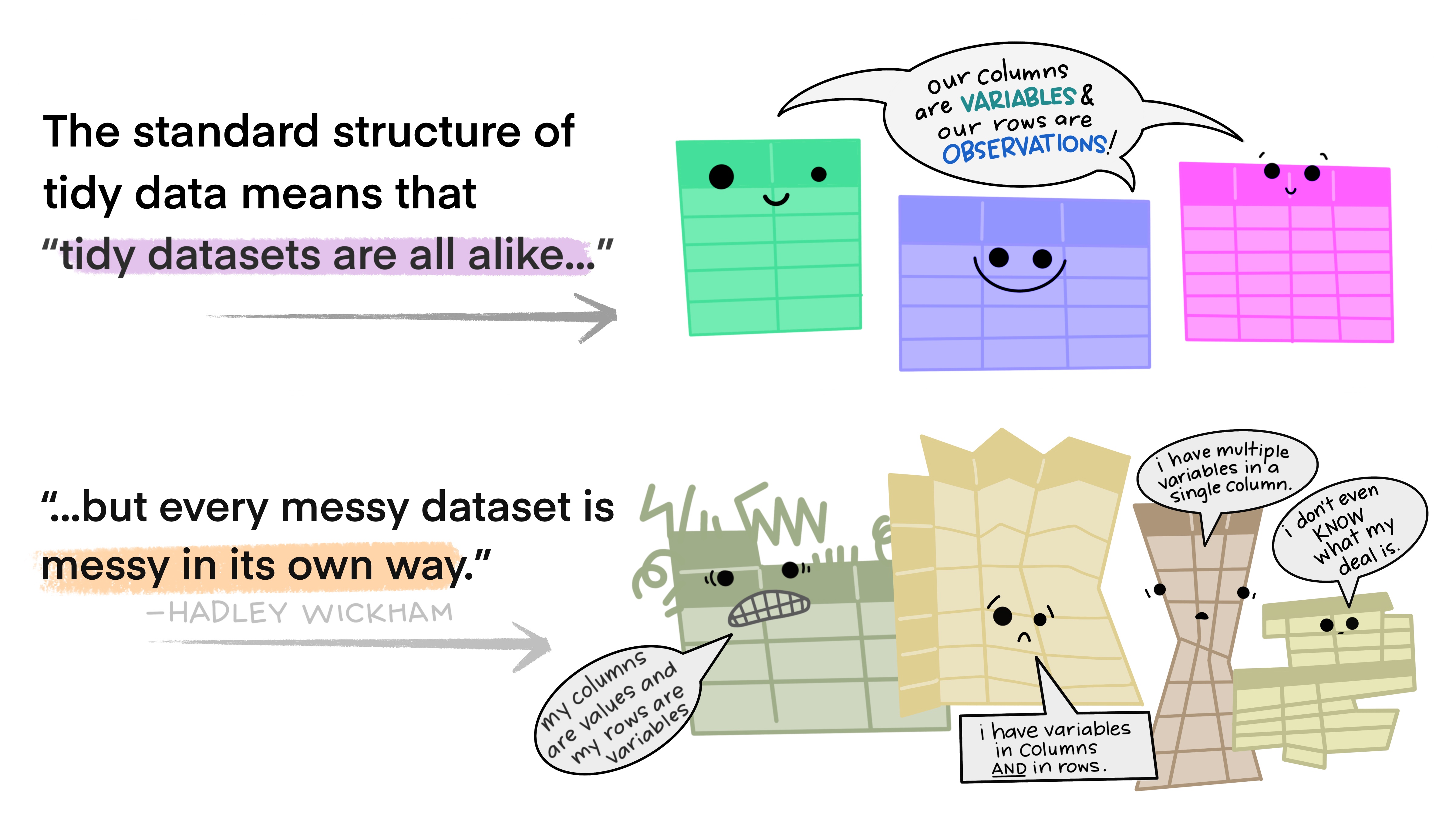 Tidy data cartoon